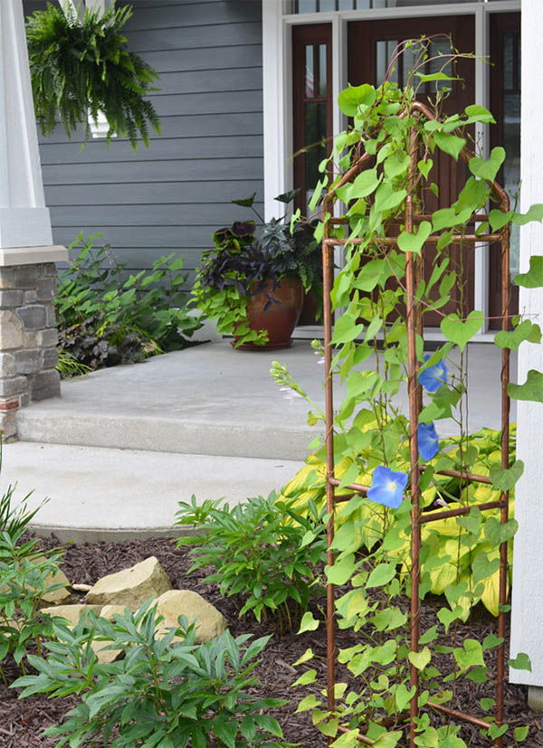 Copper Trellis