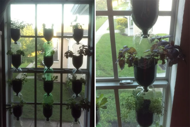 DIY Vertical Kitchen Garden From Soda Bottles