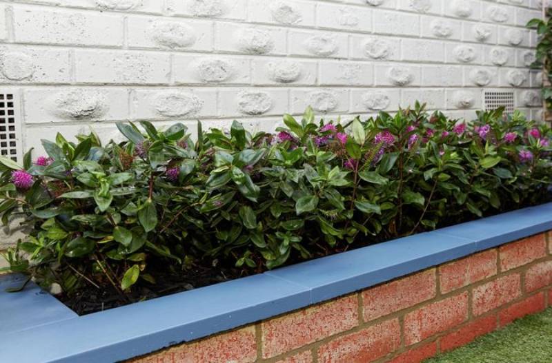 DIY brick planter box
