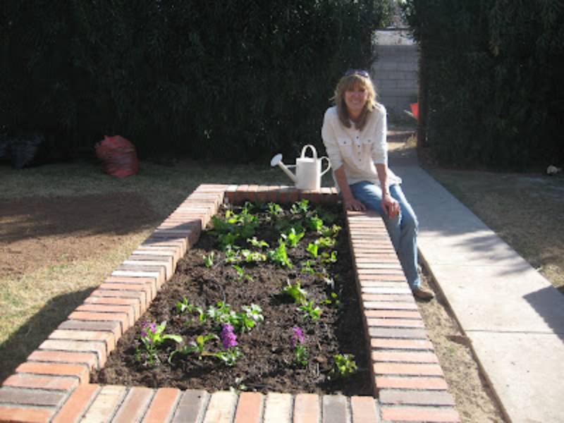 DIY brick raised beds