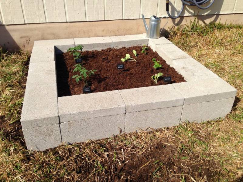 DIY cinder block raised garden bed