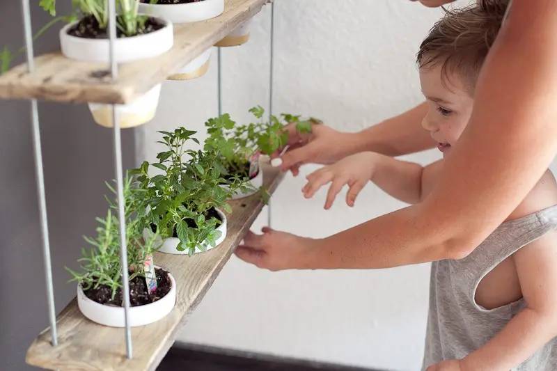 DIY custom potted hanging herb garden