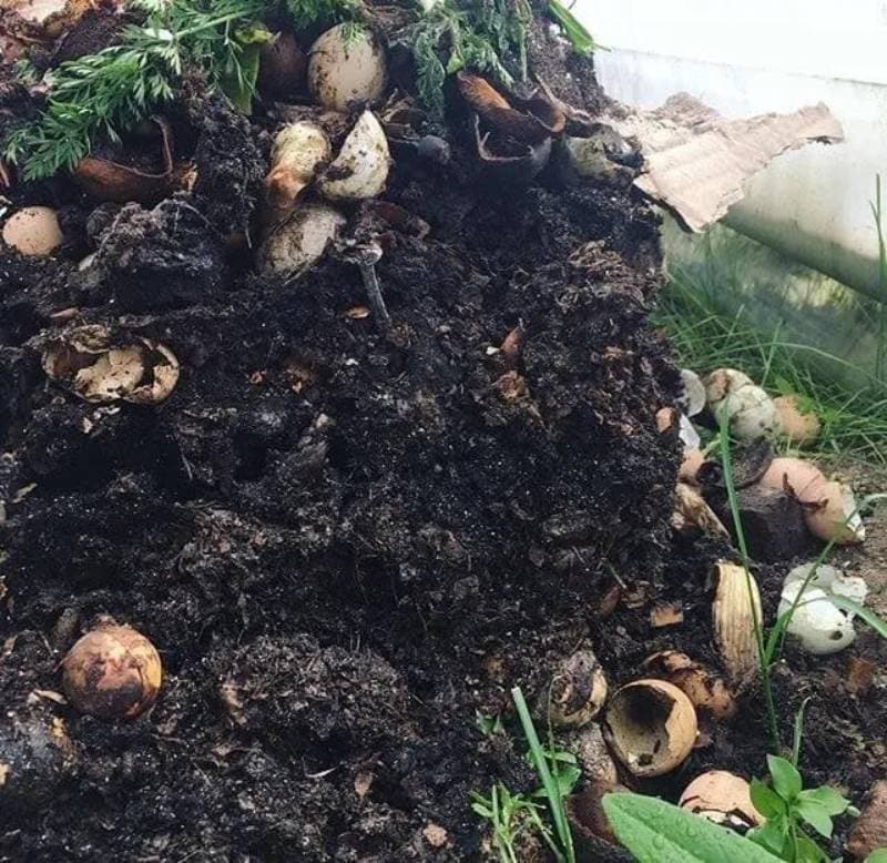 DIY easy composting