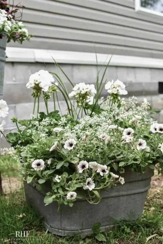 DIY galvanized tub planters