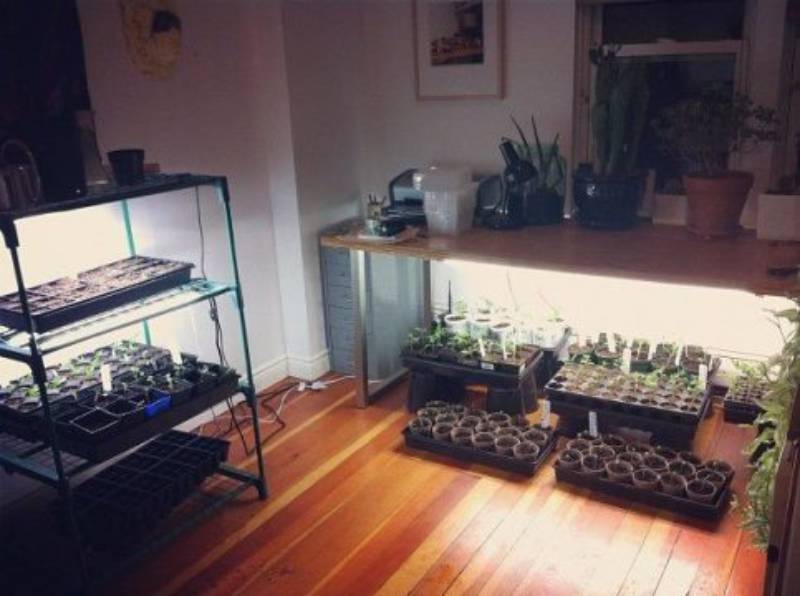 DIY grow light shelf