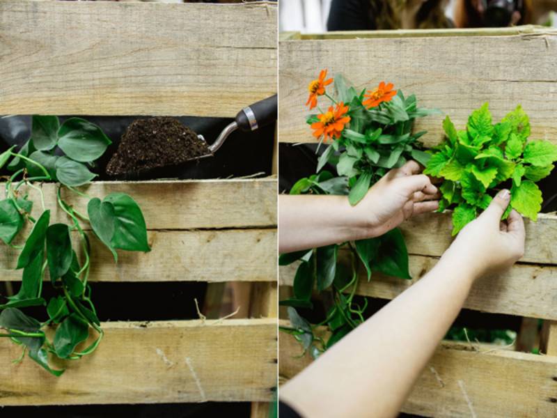 DIY pallet vertical garden