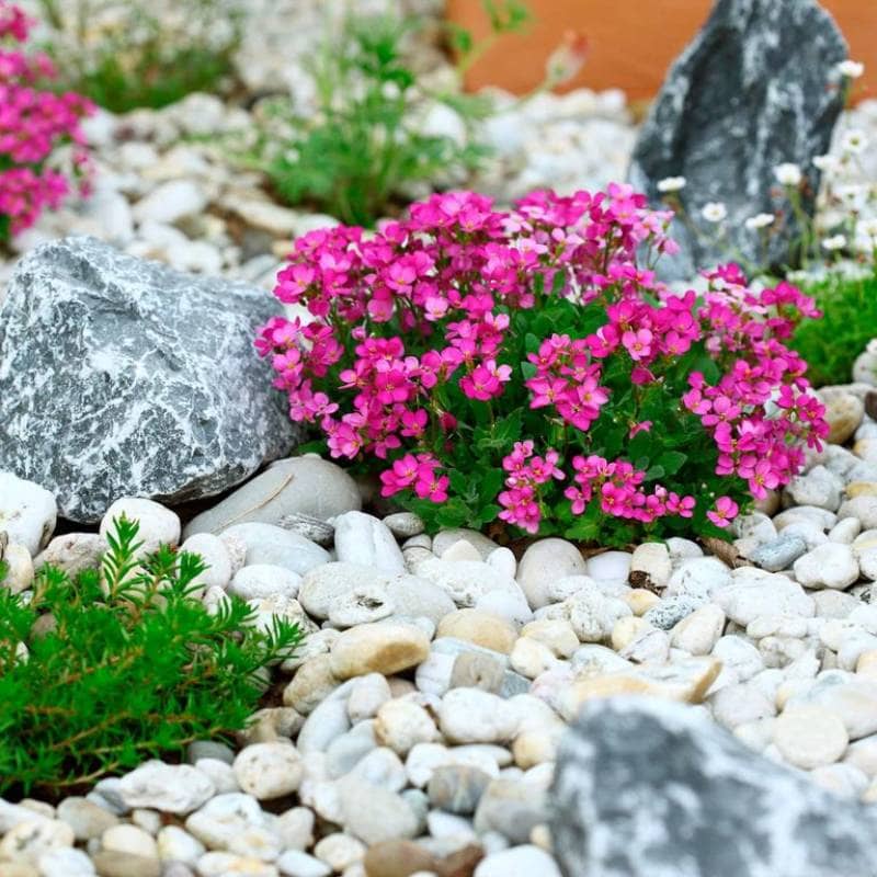 DIY perfect river rock flower bed
