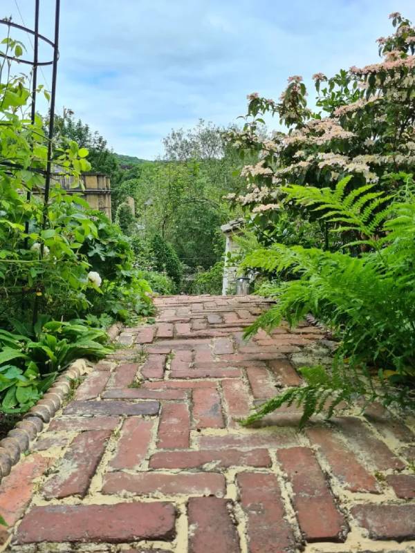 DIY reclaimed brick pathway