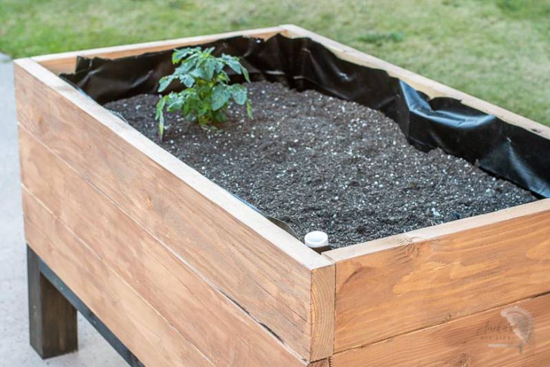 DIY self watering planter
