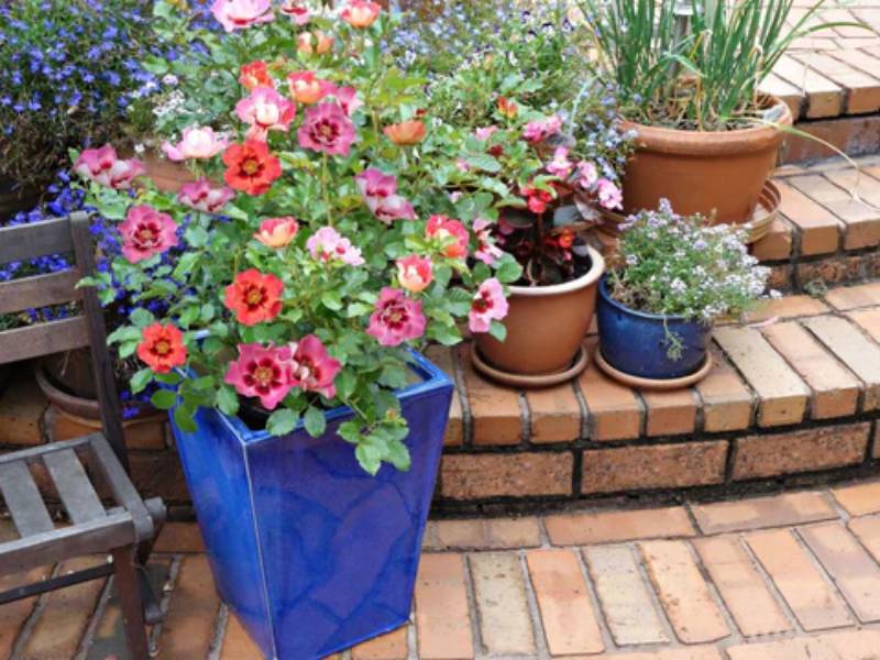DIY unique pots ideas