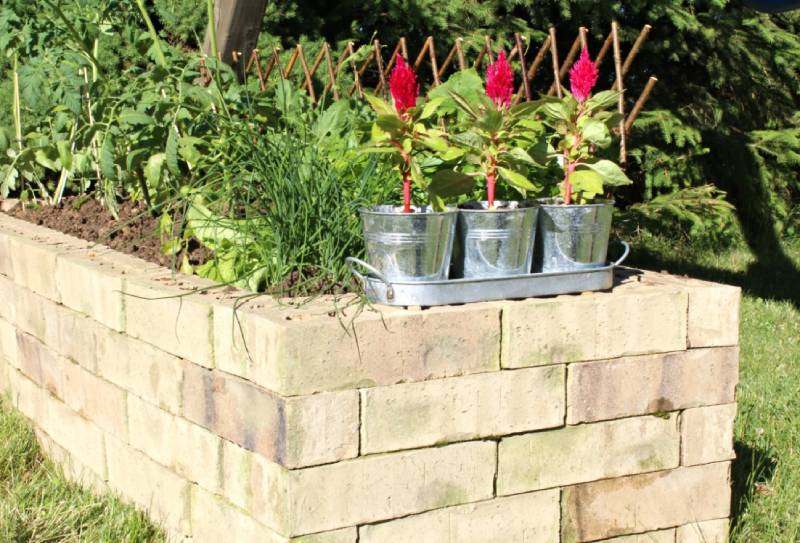 DIY upcycled brick planter box
