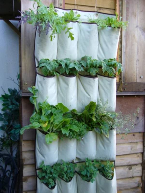 DIY vertical vegetables