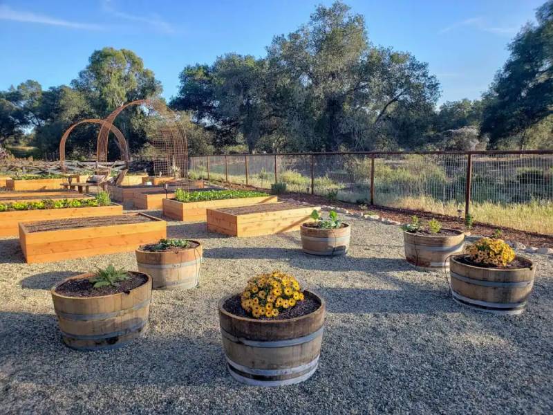 DIY wine barrel planters