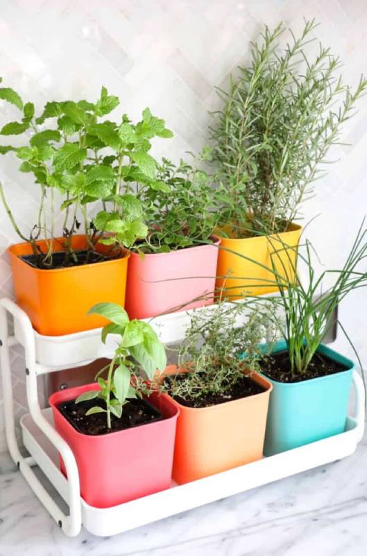 DIY wood planter for the wall