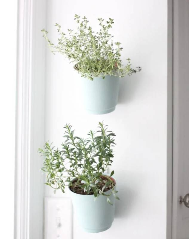 DIY wood planter for the wall