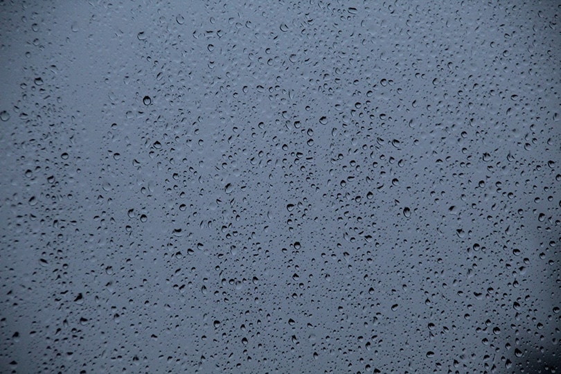 Foggy Window