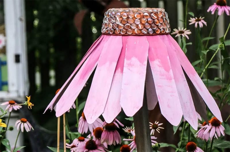 Giant Garden Coneflower