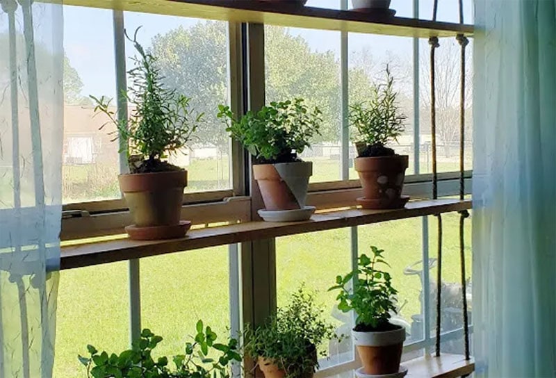 Hanging Window Herb Garden
