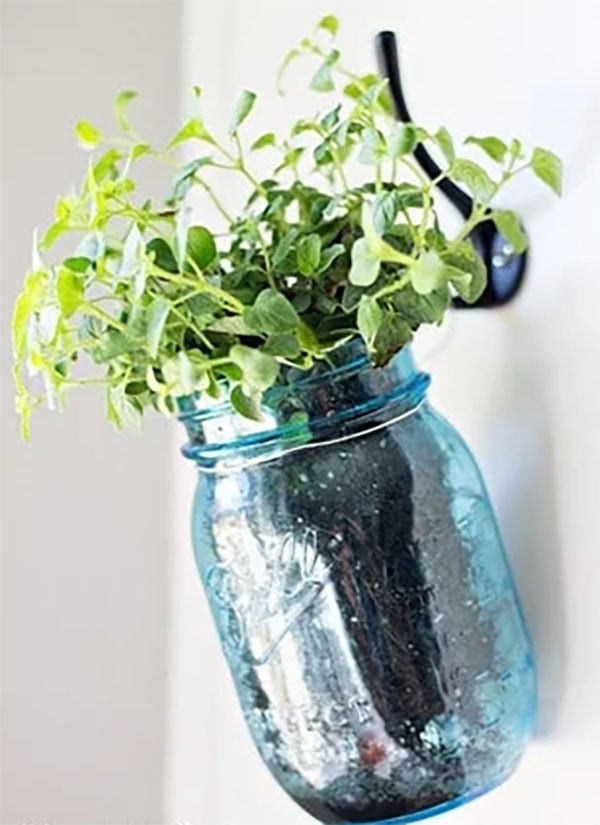Mason Jar Herb Garden