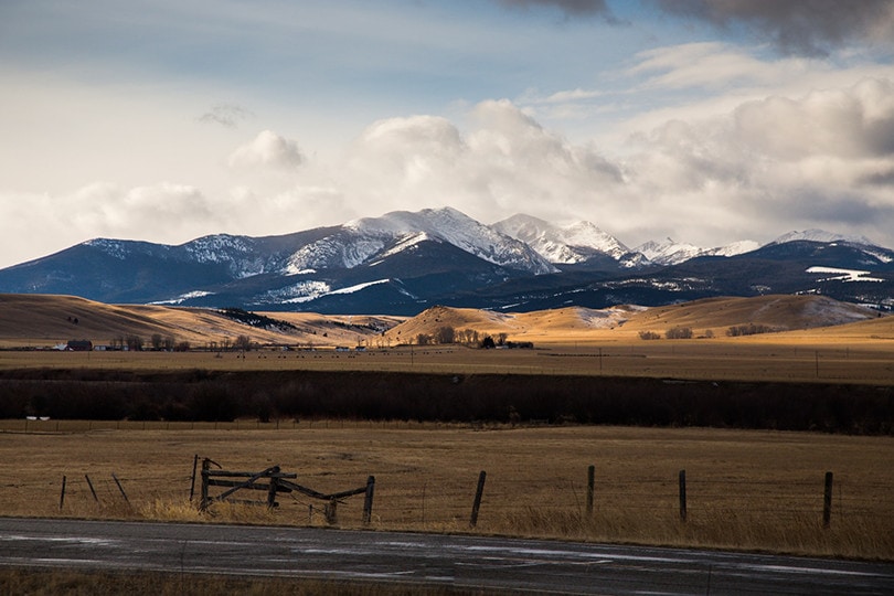 Montana Field