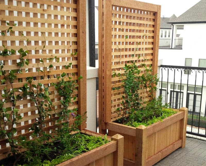 Privacy Planter Trellis