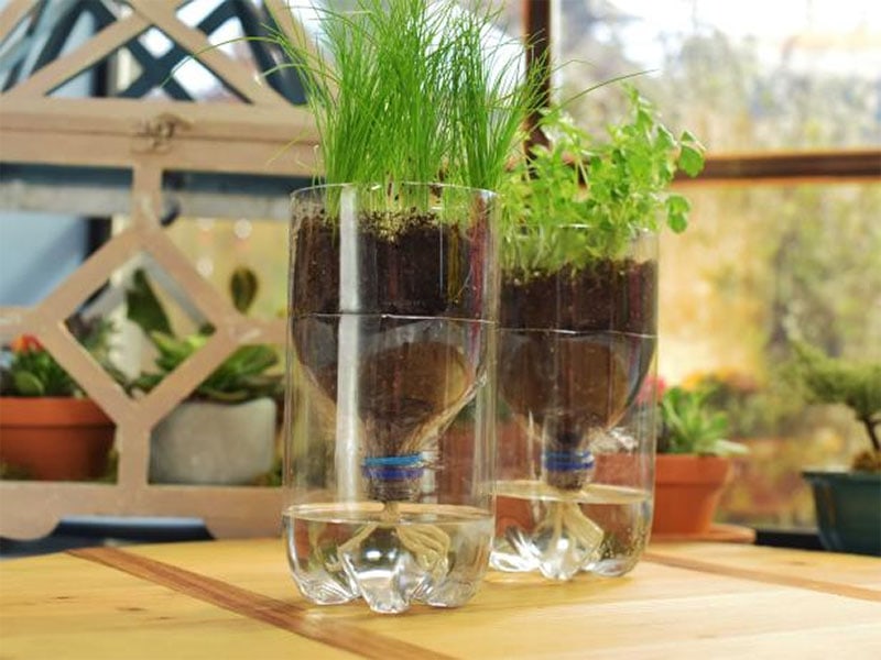Self-Watering Kitchen Window Herb Garden