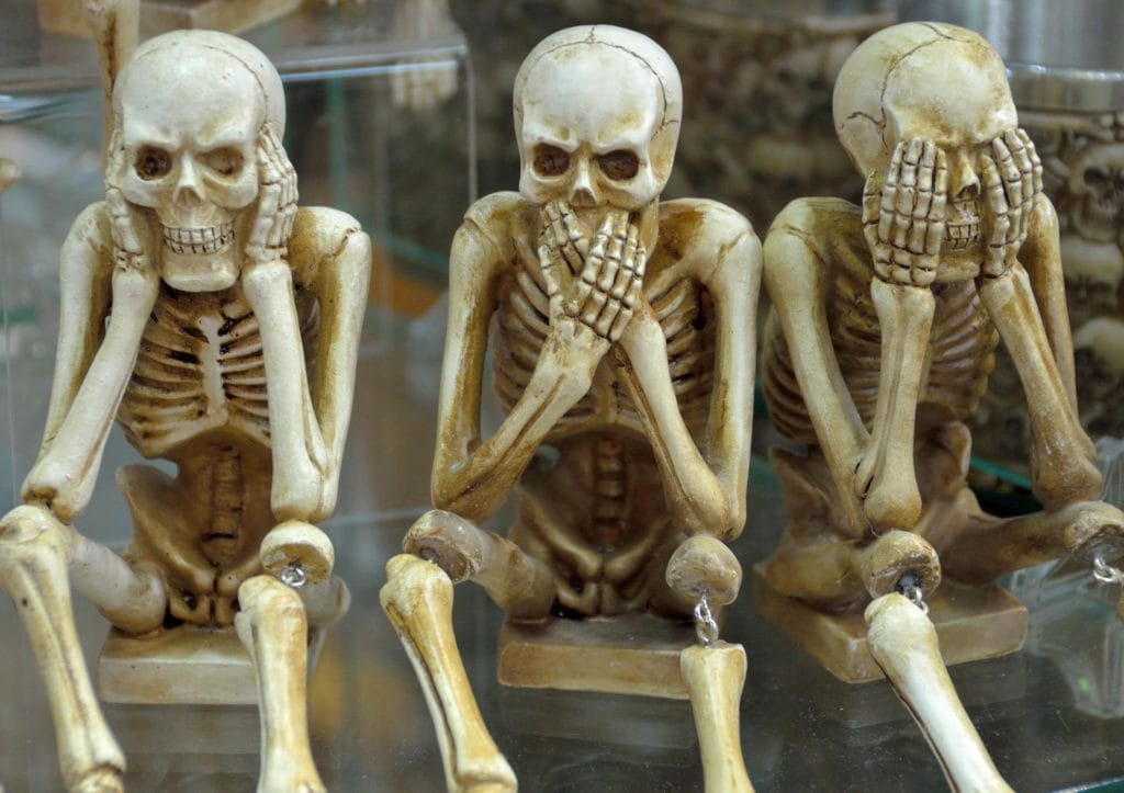 Bones