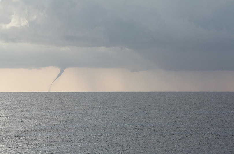 Tornado