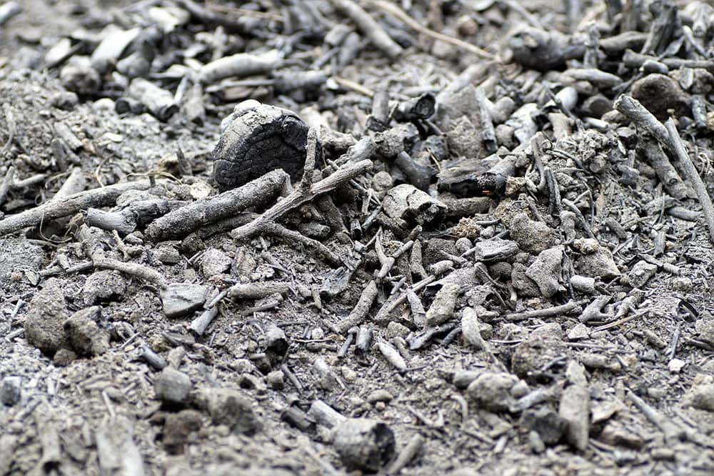 ashes residue