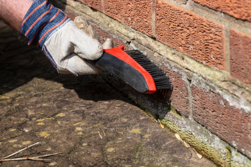 brick cleaning