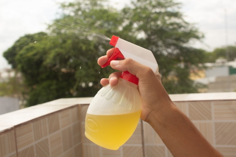 citrus cleaner