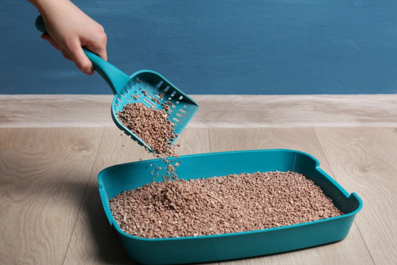 cleaning cat litter tray
