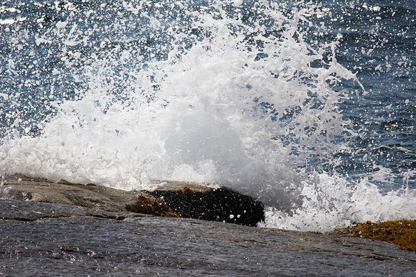 coastal wave in canada