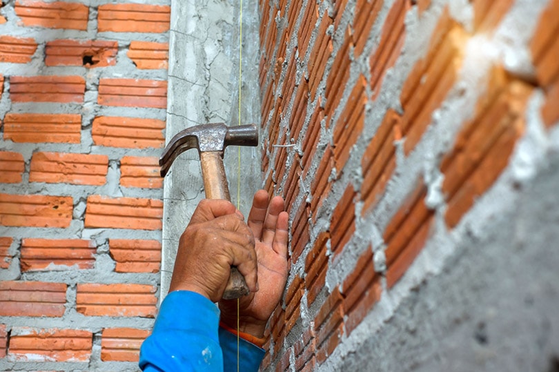 cropped man nailing the mortar of brick wall