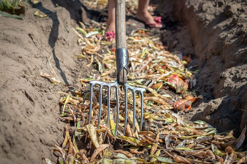 cropped person turning the compost with pitchfork