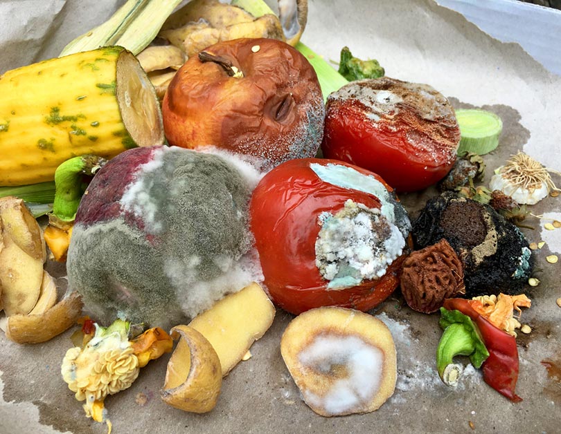 different sorts of rotten fruits and vegetables on gray paper