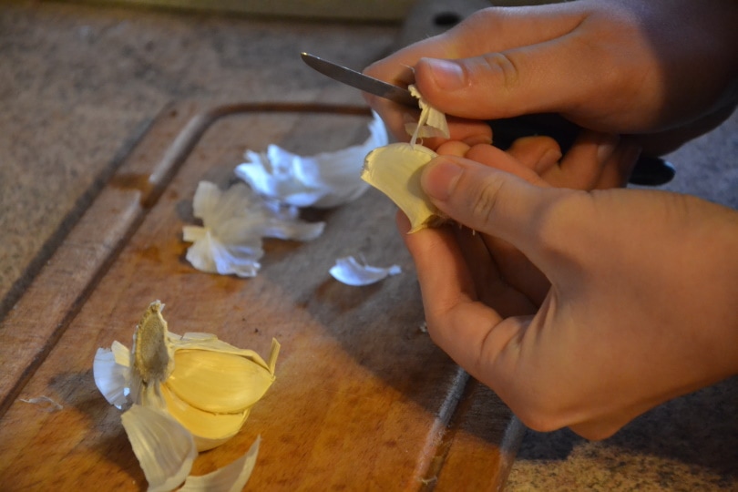 garlic peels