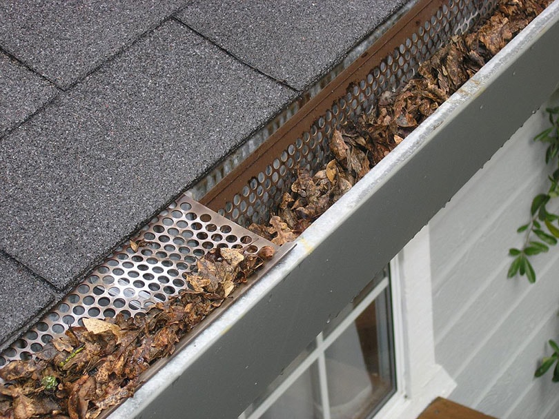 gutter with guard full of dry leaves