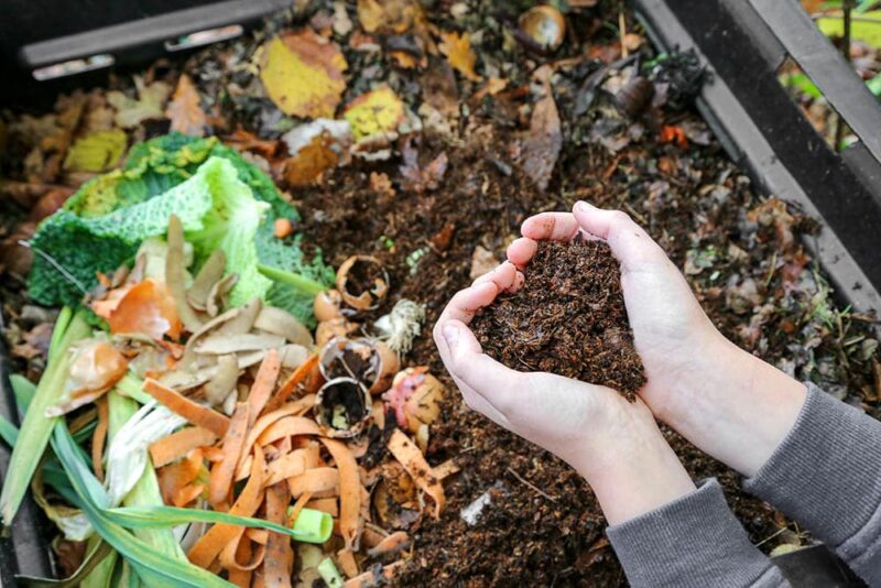 hand holding a compost in heart shape