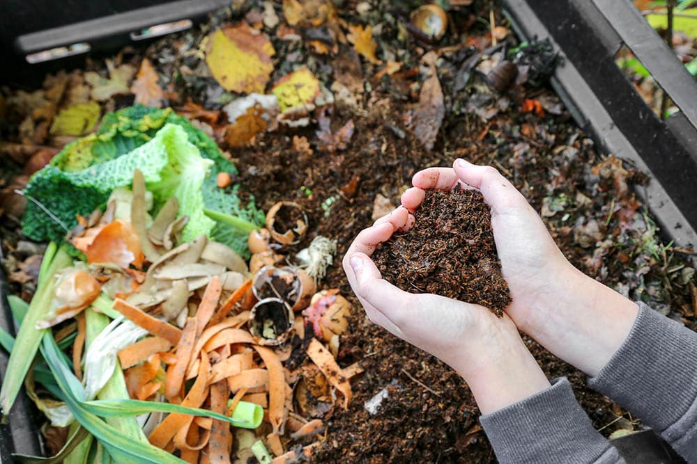 hand holding a compost in heart shape