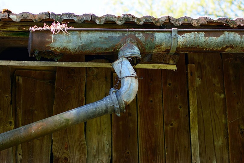 house with corroded gutter and downspout