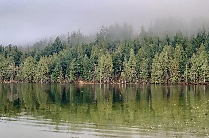 hydroelectric reservoir in buntzen lake canada