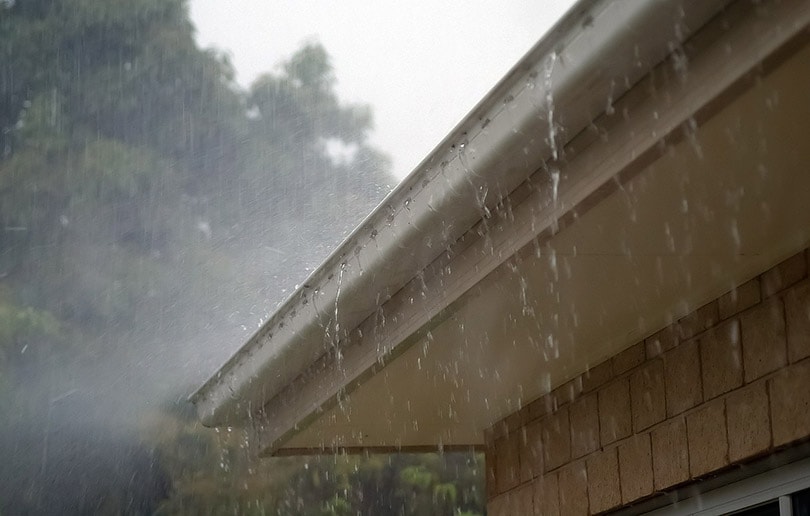 rainwater leaking out from the gutter