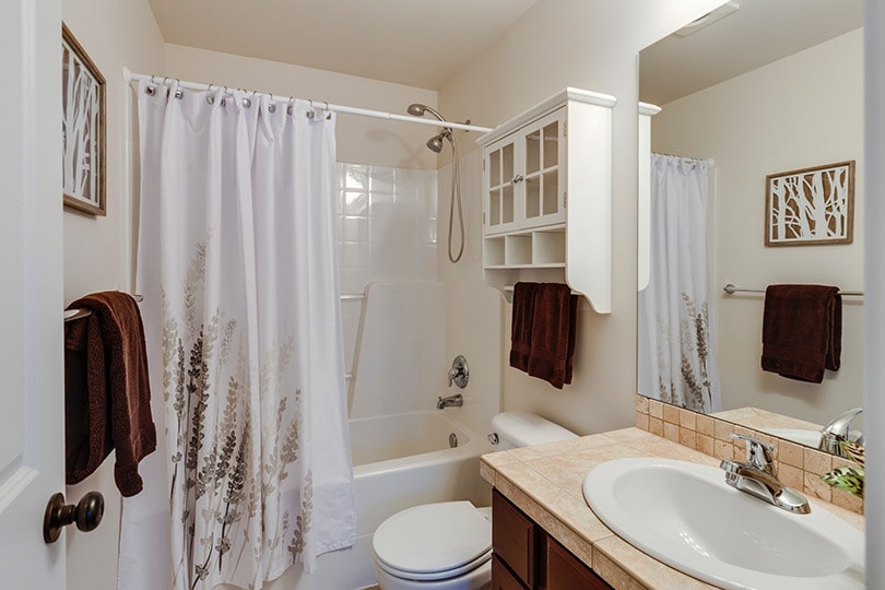 shower curtain in the bathroom