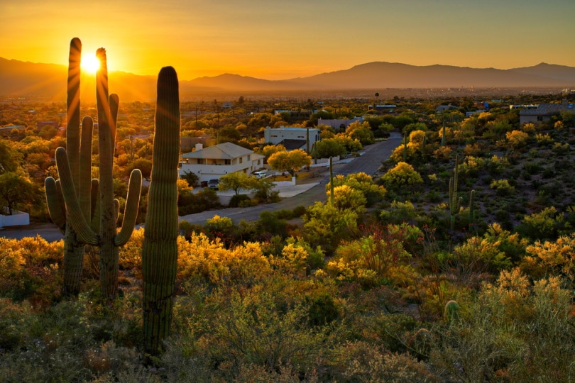 sunset view in tucson arizona