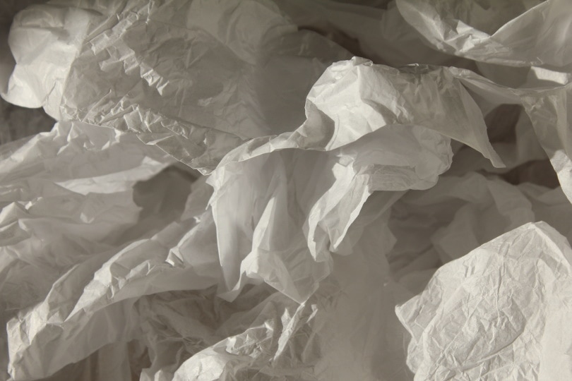 tissue paper