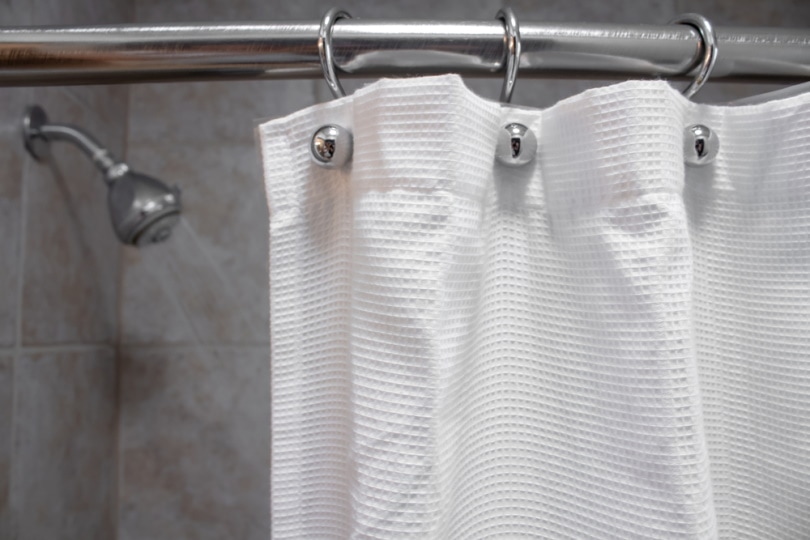 white shower curtain
