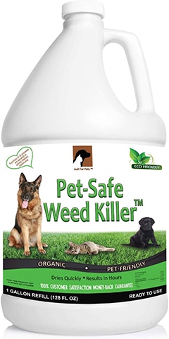 Pet-Safe Weed Killer