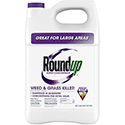Roundup Super Concentrate Weed & Grass Killer