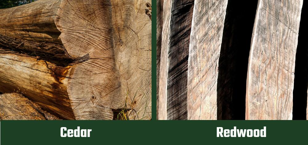 Cedar vs Redwood